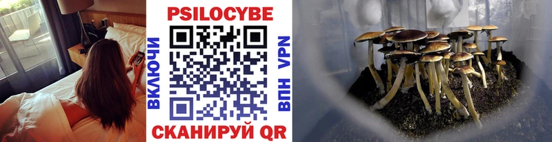 Псилоцибиновые грибы GOLDEN TEACHER  Анжеро-Судженск 
